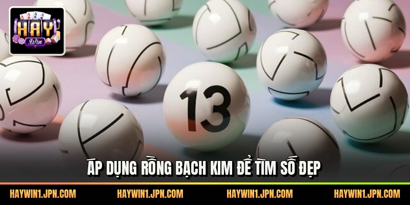 Áp dụng rồng bạch kim để tìm số đẹp