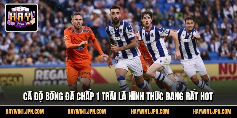 Cá độ bóng đá chấp 1 trái là hình thức đang rất hot