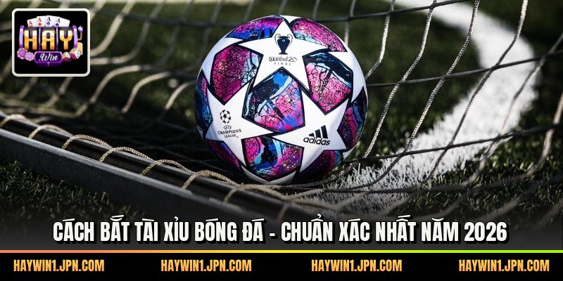 Cách Bắt Tài Xỉu Bóng Đá - Chuẩn Xác Nhất Năm 2026