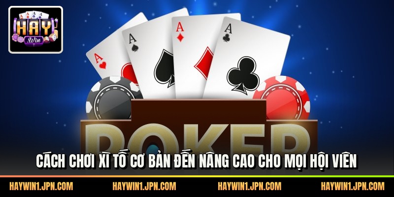 Cách Chơi Xì Tố Cơ Bản Đến Nâng Cao Cho Mọi Hội Viên