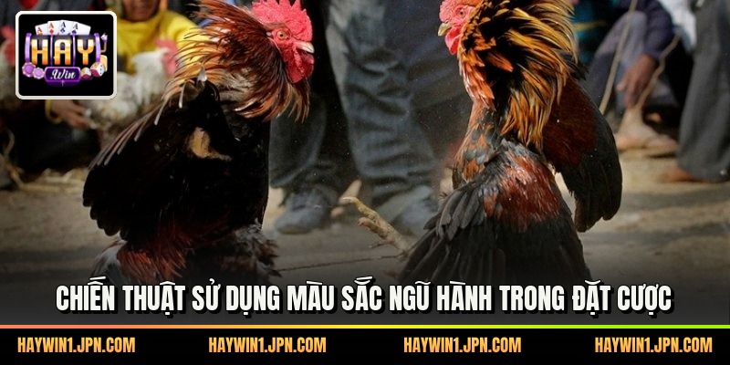 Chiến thuật sử dụng màu sắc ngũ hành trong đặt cược
