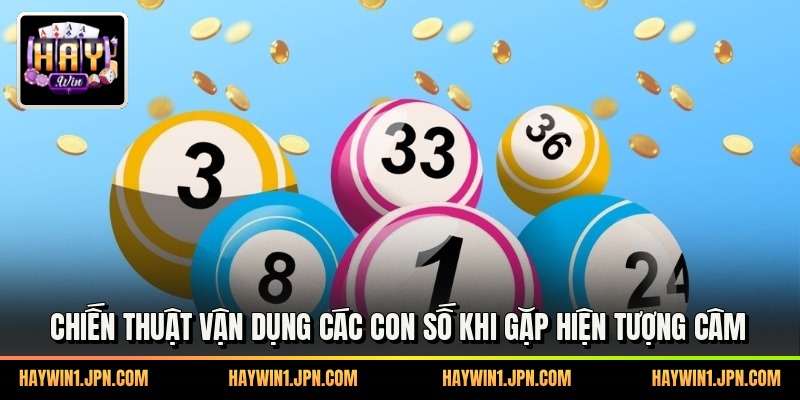 Chiến thuật vận dụng các con số khi gặp hiện tượng câm