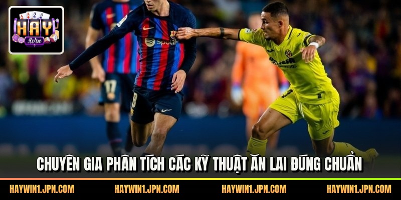 Chuyên gia phân tích các kỹ thuật ăn lai đúng chuẩn