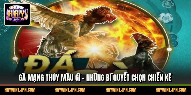 Gà Mạng Thủy Màu Gì - Những Bí Quyết Chọn Chiến Kê