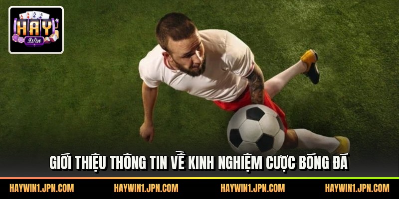 Giới thiệu thông tin về kinh nghiệm cược bóng đá