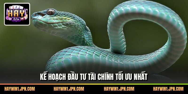 Kế hoạch đầu tư tài chính tối ưu nhất