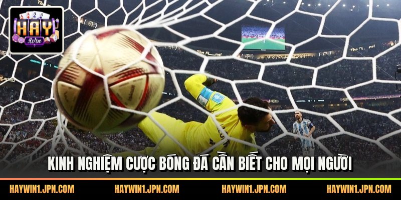 Kinh nghiệm cược bóng đá cần biết cho mọi người