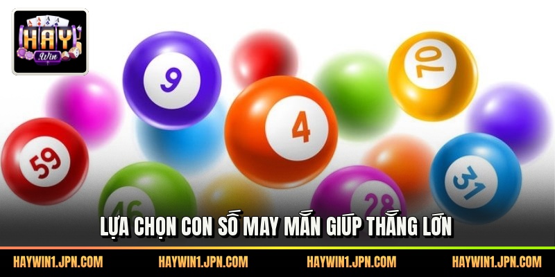 Lựa chọn con số may mắn giúp thắng lớn