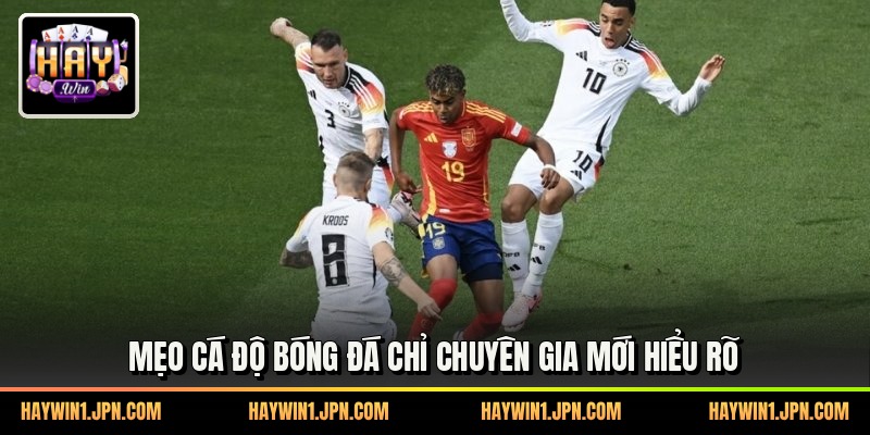 Mẹo cá độ bóng đá chỉ chuyên gia mới hiểu rõ