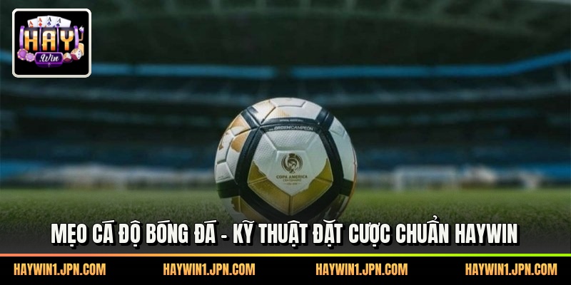 Mẹo Cá Độ Bóng Đá - Kỹ Thuật Đặt Cược Chuẩn Haywin