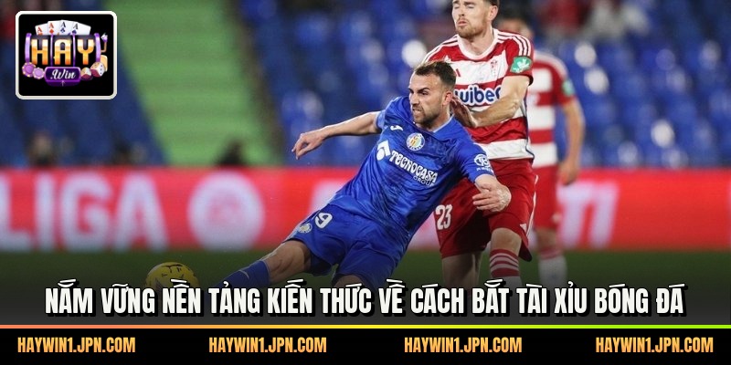 Nắm vững nền tảng kiến thức về cách bắt tài xỉu bóng đá