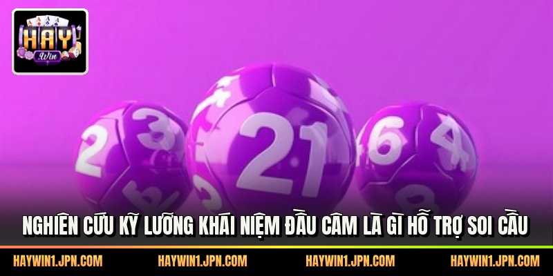 Nghiên cứu kỹ lưỡng khái niệm đầu câm là gì hỗ trợ soi cầu