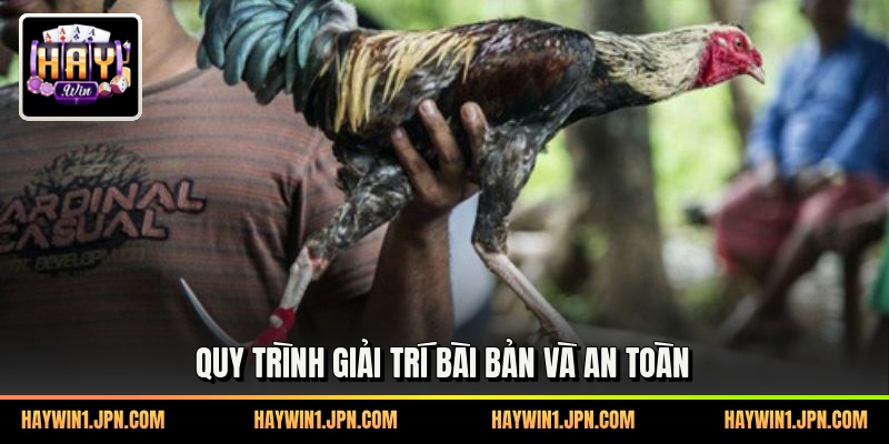 Quy trình giải trí bài bản và an toàn