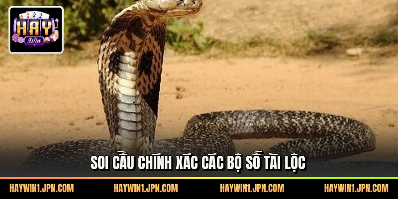 Soi cầu chính xác các bộ số tài lộc
