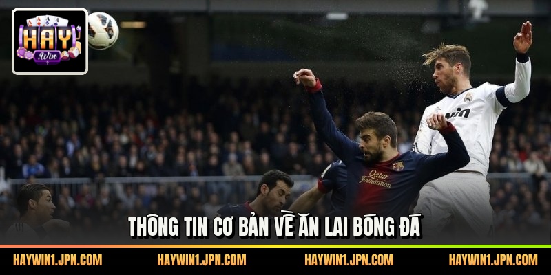 Thông tin cơ bản về ăn lai bóng đá