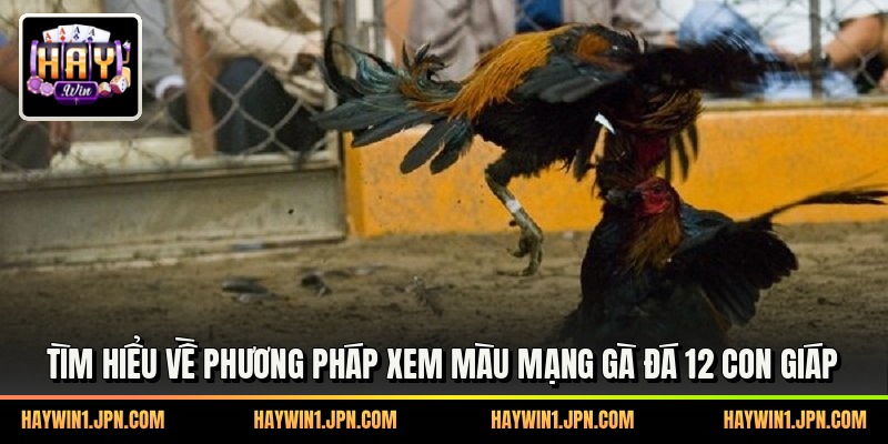 Tìm hiểu về phương pháp xem màu mạng gà đá 12 con giáp