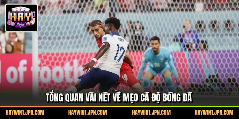Tổng quan vài nét về mẹo cá độ bóng đá