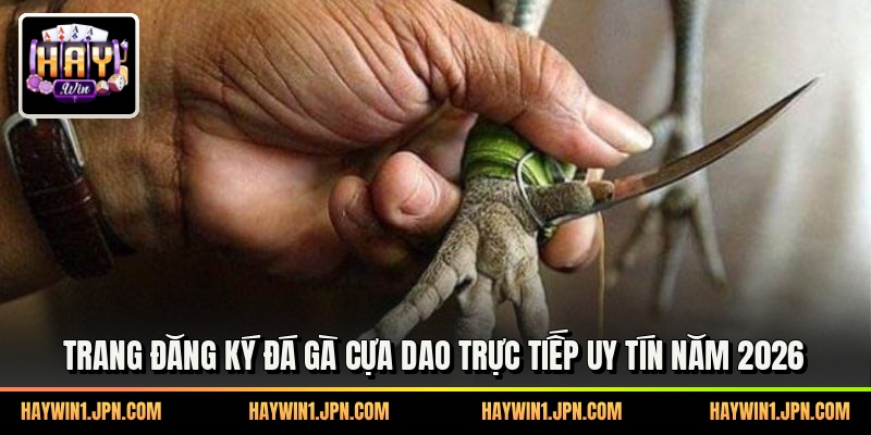Trang Đăng Ký Đá Gà Cựa Dao Trực Tiếp Uy Tín Năm 2026
