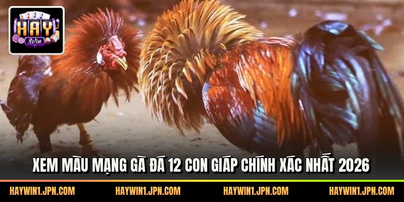 Xem Màu Mạng Gà Đá 12 Con Giáp Chính Xác Nhất 2026